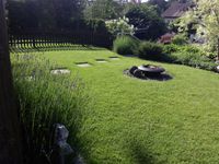IMG_20190613_083345