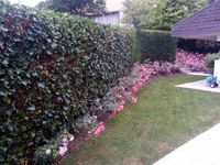IMG_20190712_112319